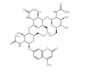 4-甲基香豆素基 N,N',N''-三乙酰基-β-D-殼聚三糖苷  Cas:53643-13-3  