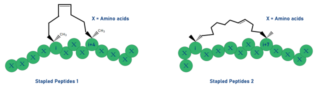 訂書肽 Hydrocarbon stapled peptides