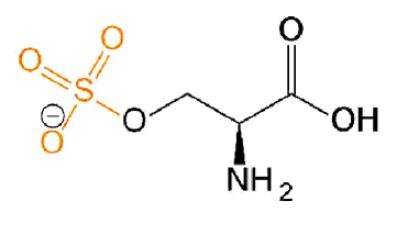 磺酸化絲氨酸，O-Sulfo-L-serine，Ser(SO3H2)