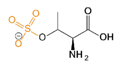 Thr(SO3H2) 磺酸化蘇氨酸 O-Sulfo-L-Threonine