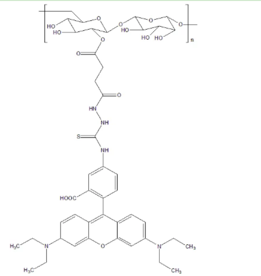 葡聚糖-四甲基羅丹明,Dextran-TRITC,近紅外染料標(biāo)記多糖	