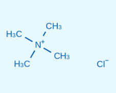 75-57-0 四甲基氯化銨 Tetramethyl ammonium chloride