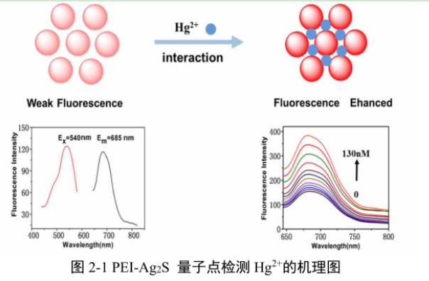 聚乙烯亞胺包覆硫化銀量子點(diǎn)(PEI-Ag2S)