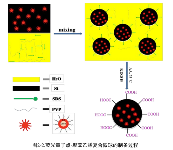 羧基功能CdSe/ZnS量子點(diǎn)@聚苯乙烯復(fù)合熒光微球