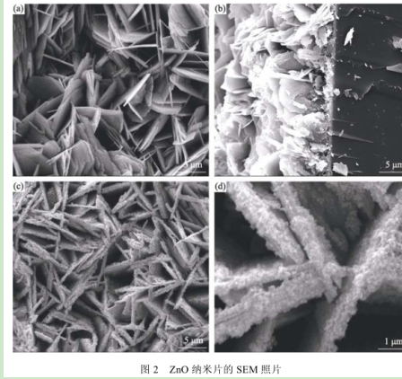 硫化鉛量子點(diǎn)修飾氧化鋅納米片(ZnO/PbSQDs)