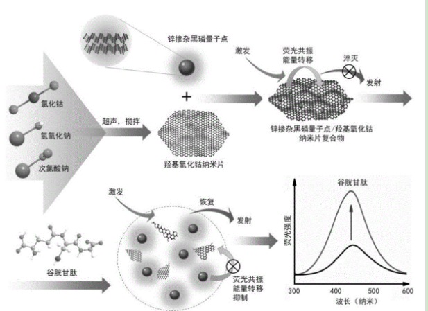 鋅摻雜黑磷量子點(diǎn)