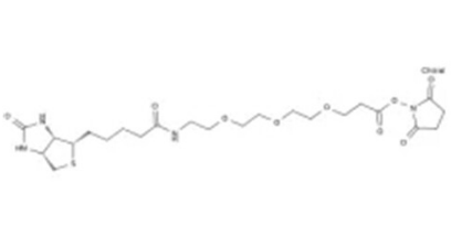 Azido-PEG8-TFP ester 疊氮-八聚乙二醇-五氟苯酯 CAS：1818294-49-3