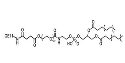 DSPE-PEG-GE11，磷脂-聚乙二醇-腫瘤細胞表皮生長因子肽GE11