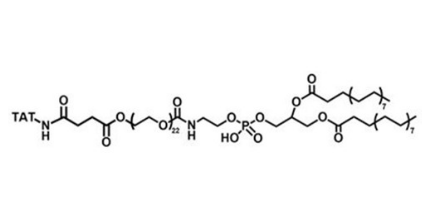 磷脂-聚乙二醇-靶向穿膜肽 DSPE-PEG-TAT，MW：1000