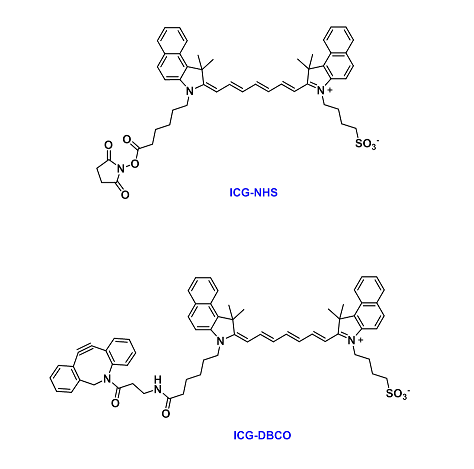 ICG-COOH、Sulfo-ICG-COOH、ICG-NHS