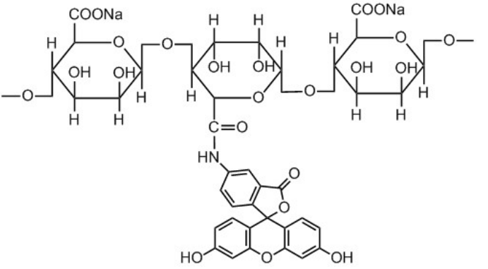 綠色熒光素標記海藻酸鈉 FITC-Alginate/Alginate-Fluorescein