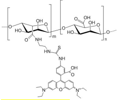 紅色熒光素標記海藻酸鈉 Rhodamine-Alginate/TRITC-Alginate