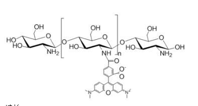 Chitosan–TRITC