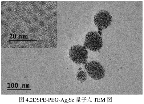 DSPE-PEG修飾硒化銀Ag2Se量子點