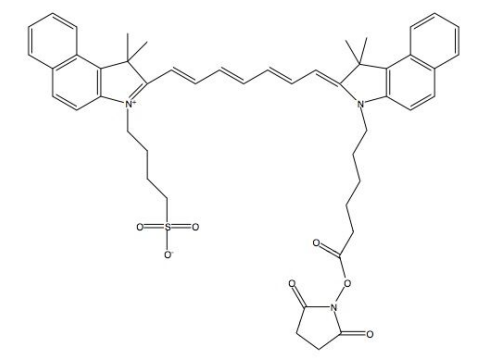 ICG NHS ester  吲哚菁綠琥珀酰亞胺脂