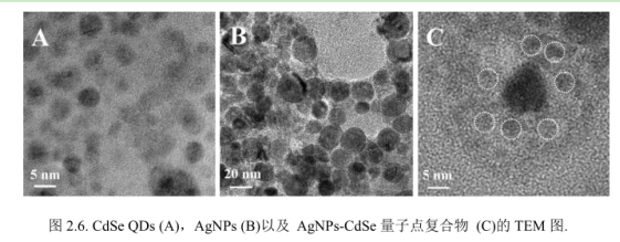 AgNPs-CdSeQDs納米復(fù)合物