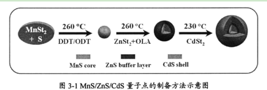 錳摻雜硫化鎘量子點