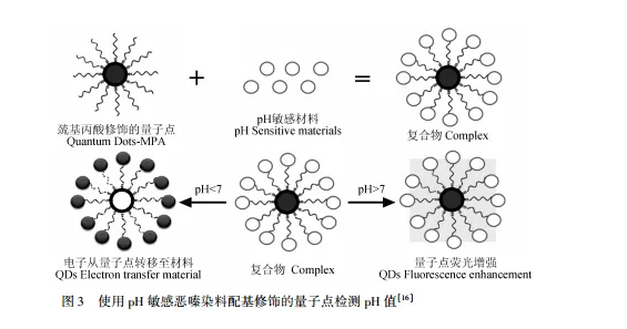 巰基丙酸修飾CdTe碲化鎘量子點