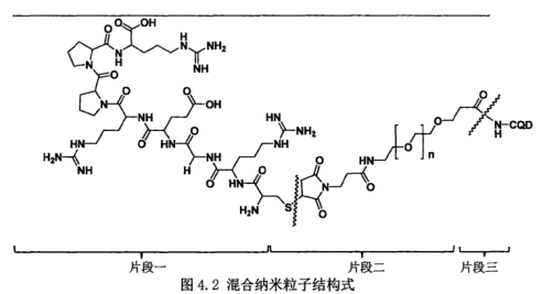 Mal-PEG-NHS偶聯碳量子點CQDs