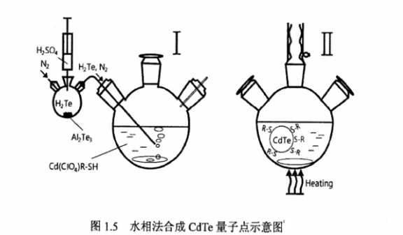 蛋白質核糖核酸酶修飾碲化鋅ZnTe量子點