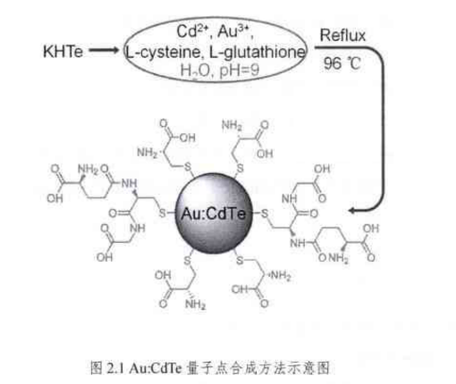 Au:CdTe量子點(diǎn)