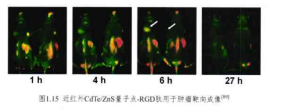 近紅外CdTe/ZnS量子點-RGD肽