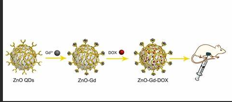 Gd@ZnO量子點表面修飾阿霉素