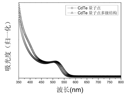 CLV3十二肽修飾CdTe量子點