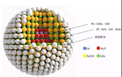 細胞核靶向TAT多肽修飾碳化釩(V2C)量子點(QDs)