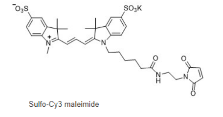 Sulfo-Cyanine3 maleimide