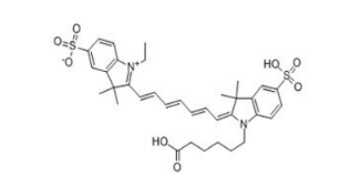 海藻酸鈉-七甲川染料CY7