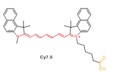 海藻酸鈉-菁染料CY7.5