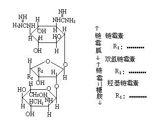 海藻酸鈉-鏈霉親和素