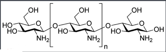 Chitosan-DOPE