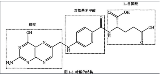 葉酸修飾半乳糖