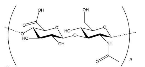 半乳糖-聚乙二醇-透明質酸