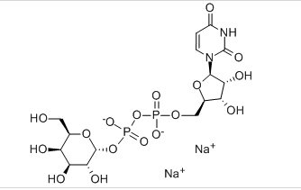 UDP-Gal