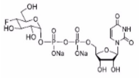 UDP-4-F-D-Glc.2 Na