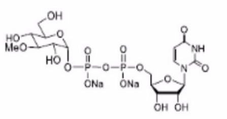 UDP-3-methyl-GluCose.2Na