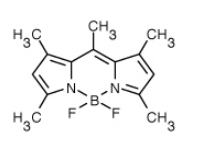 BODIPY 493/503