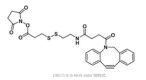 DBCO-SS-NHS 