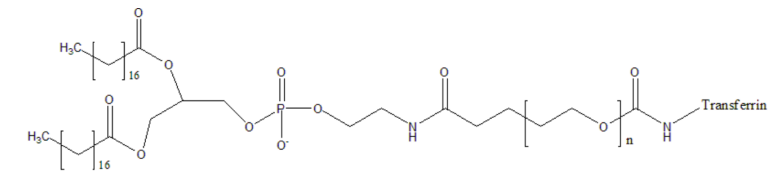 DSPE-PEG2K-TF(Transferrin) 二棕櫚酰磷脂酰乙醇胺-聚乙二醇2k轉(zhuǎn)鐵蛋白 DSPE-PEG2k-TF