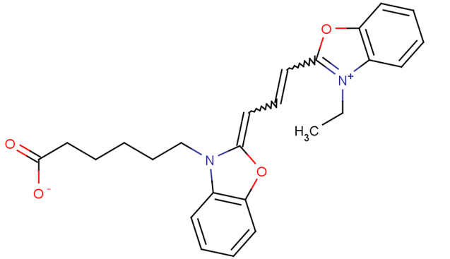 Cy2