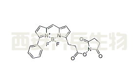 BDP R6G NHS ester,CAS: 335193-70-9