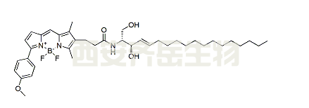 BDP TMR ceramide